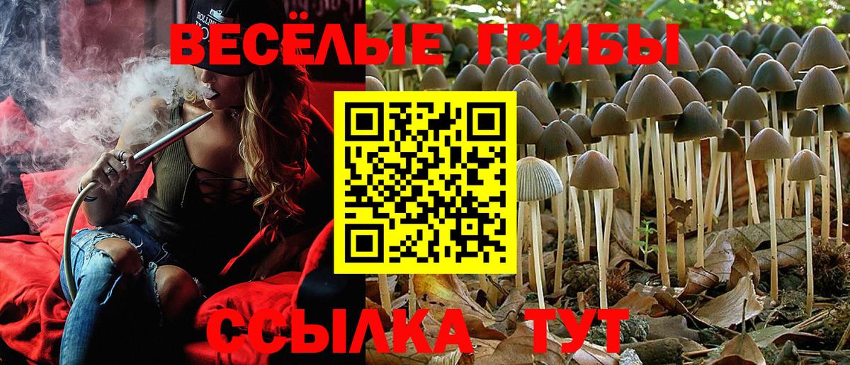 Великие Луки  Псилоцибиновые грибы мицелий  Галлюциногенные грибы GOLDEN TEACHER  Вход с VPN 